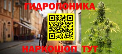 амф Рыбинск