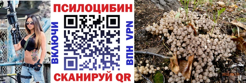 наркошоп  Хасавюрт  MEGA   Псилоцибиновые грибы GOLDEN TEACHER 